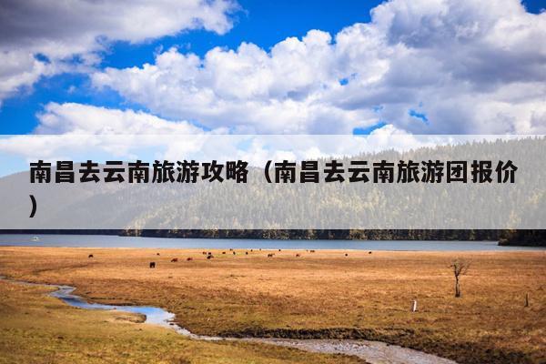 南昌去云南旅游攻略（南昌去云南旅游团报价）