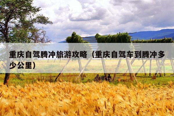 重庆自驾腾冲旅游攻略（重庆自驾车到腾冲多少公里）