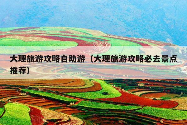 大理旅游攻略自助游（大理旅游攻略必去景点推荐）