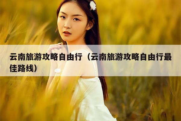 云南旅游攻略自由行（云南旅游攻略自由行最佳路线）