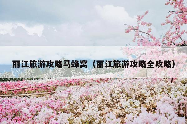 丽江旅游攻略马蜂窝（丽江旅游攻略全攻略）
