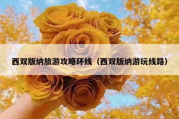 西双版纳旅游攻略环线（西双版纳游玩线路）