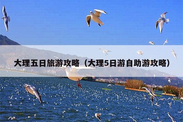 大理五日旅游攻略（大理5日游自助游攻略）