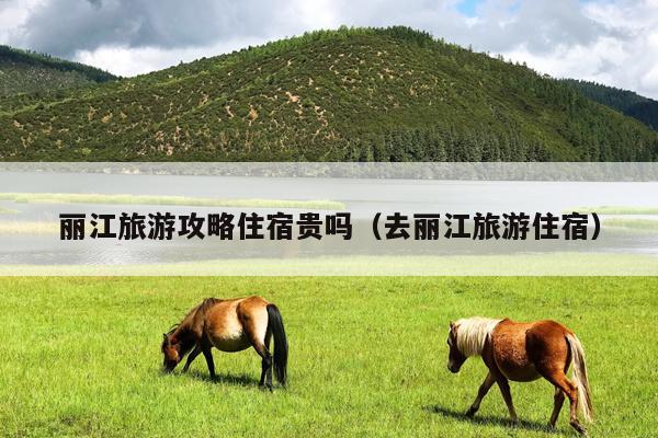 丽江旅游攻略住宿贵吗（去丽江旅游住宿）