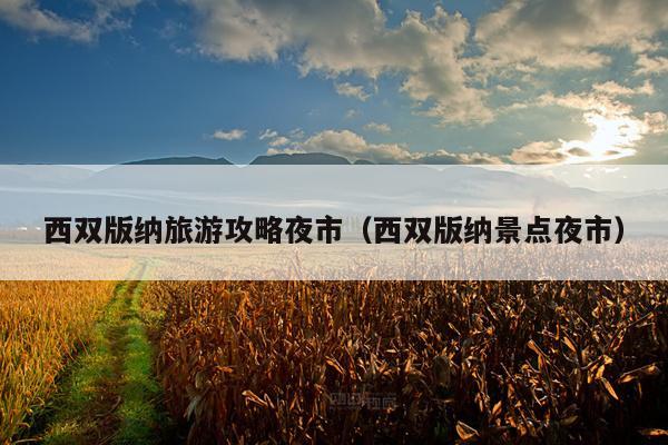西双版纳旅游攻略夜市（西双版纳景点夜市）