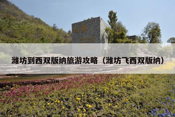 潍坊到西双版纳旅游攻略（潍坊飞西双版纳）