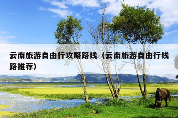 云南旅游自由行攻略路线（云南旅游自由行线路推荐）