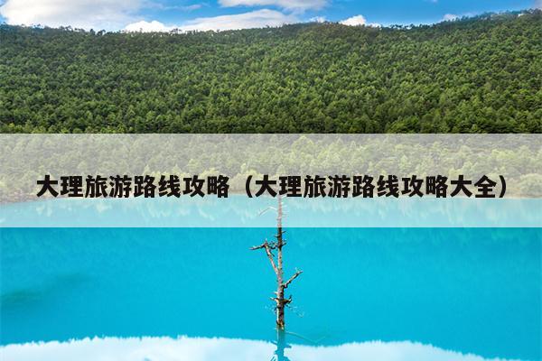 大理旅游路线攻略（大理旅游路线攻略大全）