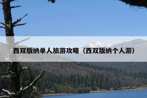 西双版纳单人旅游攻略（西双版纳个人游）