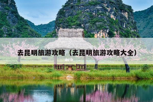 去昆明旅游攻略（去昆明旅游攻略大全）