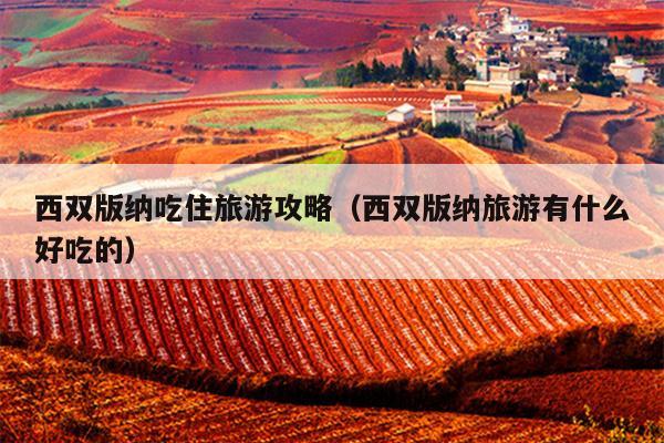 西双版纳吃住旅游攻略（西双版纳旅游有什么好吃的）