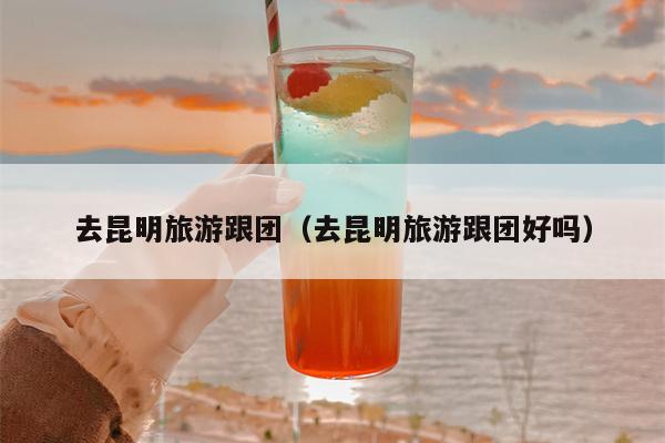 去昆明旅游跟团（去昆明旅游跟团好吗）