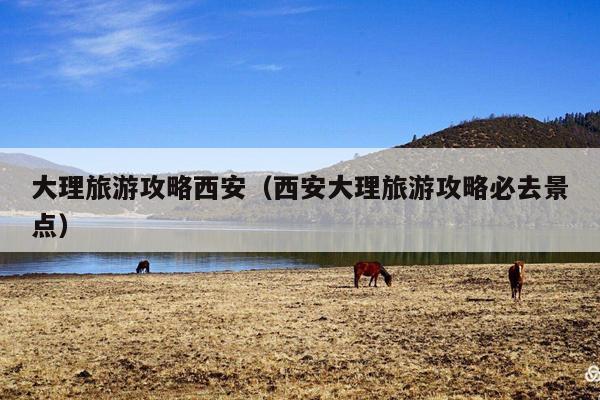 大理旅游攻略西安（西安大理旅游攻略必去景点）