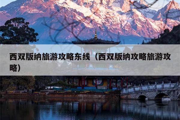 西双版纳旅游攻略东线（西双版纳攻略旅游攻略）