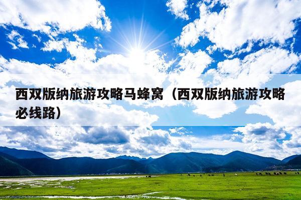西双版纳旅游攻略马蜂窝（西双版纳旅游攻略必线路）