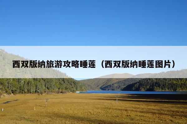 西双版纳旅游攻略睡莲（西双版纳睡莲图片）