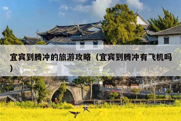 宜宾到腾冲的旅游攻略（宜宾到腾冲有飞机吗）