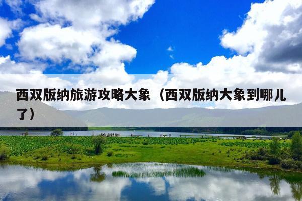 西双版纳旅游攻略大象（西双版纳大象到哪儿了）