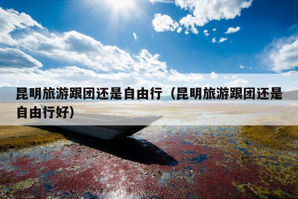 昆明旅游跟团还是自由行（昆明旅游跟团还是自由行好）
