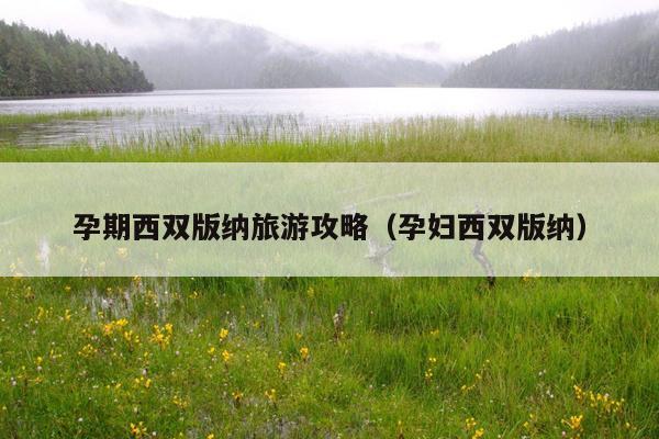 孕期西双版纳旅游攻略（孕妇西双版纳）