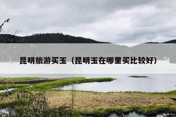 昆明旅游买玉（昆明玉在哪里买比较好）