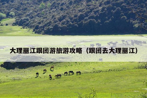 大理丽江跟团游旅游攻略（跟团去大理丽江）