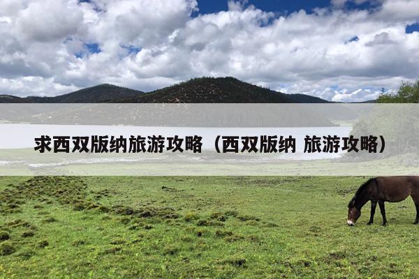 求西双版纳旅游攻略（西双版纳 旅游攻略）