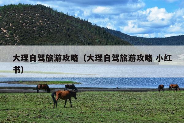 大理自驾旅游攻略（大理自驾旅游攻略 小红书）