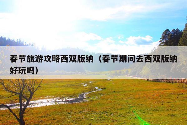春节旅游攻略西双版纳（春节期间去西双版纳好玩吗）