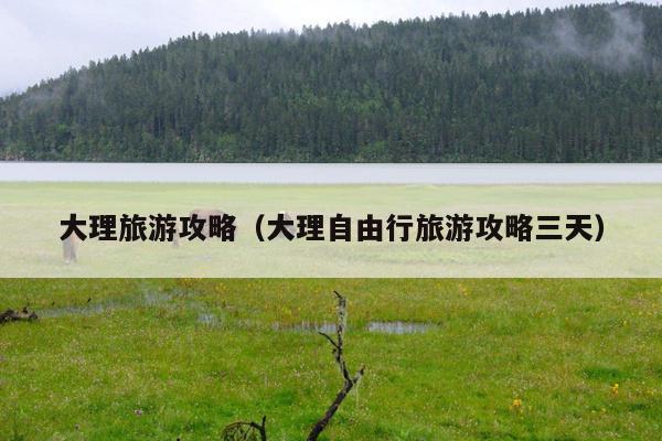 大理旅游攻略（大理自由行旅游攻略三天）