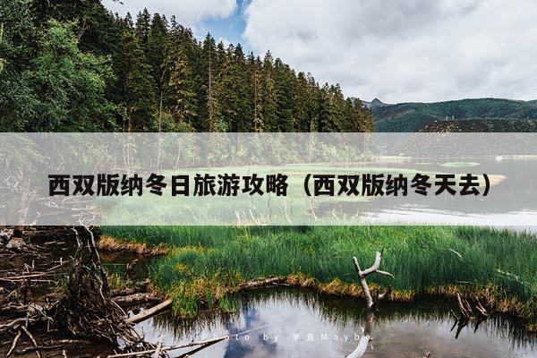 西双版纳冬日旅游攻略（西双版纳冬天去）