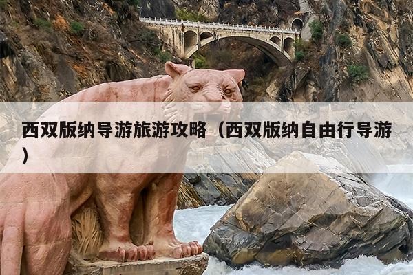 西双版纳导游旅游攻略（西双版纳自由行导游）
