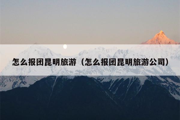 怎么报团昆明旅游（怎么报团昆明旅游公司）
