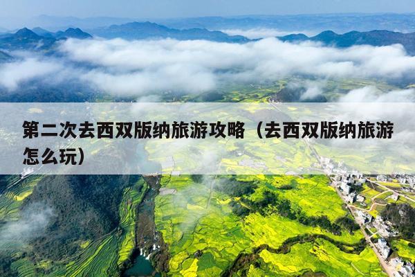 第二次去西双版纳旅游攻略（去西双版纳旅游怎么玩）