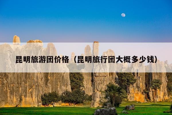 昆明旅游团价格（昆明旅行团大概多少钱）