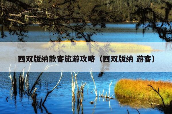 西双版纳散客旅游攻略（西双版纳 游客）