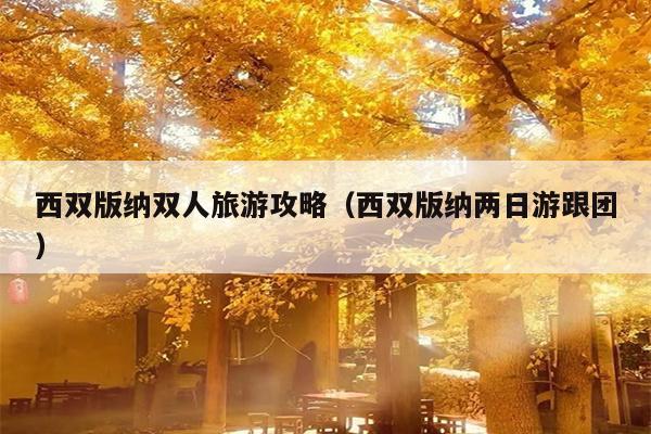 西双版纳双人旅游攻略（西双版纳两日游跟团）