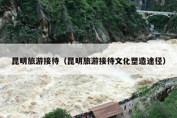 昆明旅游接待（昆明旅游接待文化塑造途径）