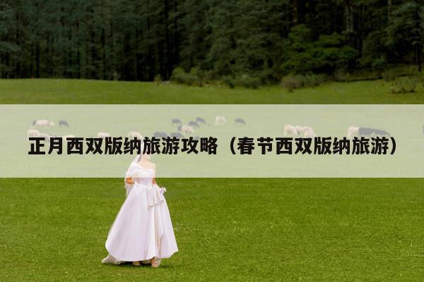 正月西双版纳旅游攻略（春节西双版纳旅游）