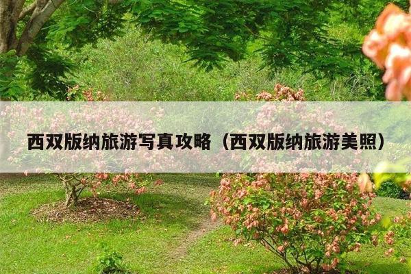 西双版纳旅游写真攻略（西双版纳旅游美照）
