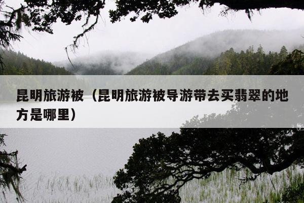 昆明旅游被（昆明旅游被导游带去买翡翠的地方是哪里）