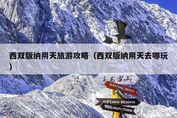 西双版纳阴天旅游攻略（西双版纳阴天去哪玩）