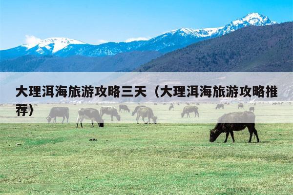 大理洱海旅游攻略三天（大理洱海旅游攻略推荐）