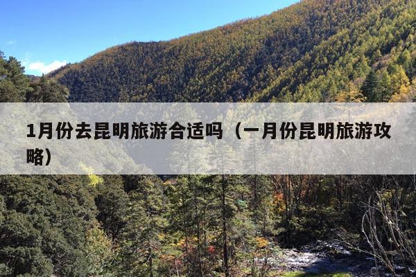 1月份去昆明旅游合适吗（一月份昆明旅游攻略）