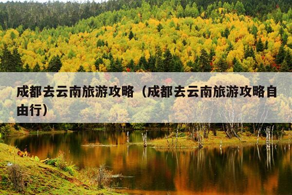 成都去云南旅游攻略（成都去云南旅游攻略自由行）
