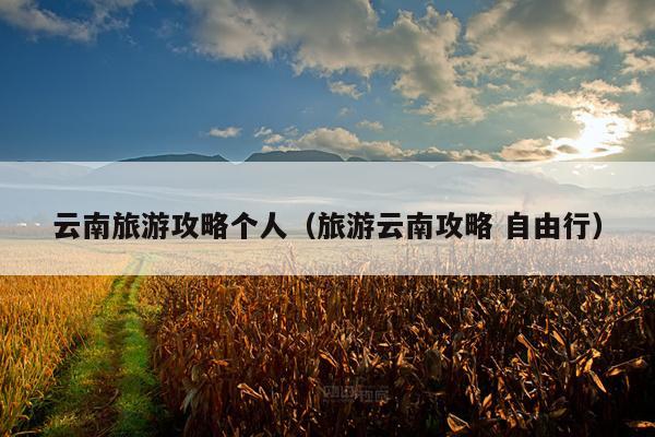 云南旅游攻略个人（旅游云南攻略 自由行）