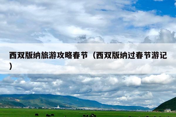 西双版纳旅游攻略春节（西双版纳过春节游记）