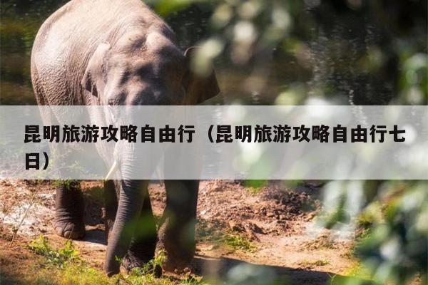 昆明旅游攻略自由行（昆明旅游攻略自由行七日）