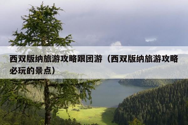 西双版纳旅游攻略跟团游（西双版纳旅游攻略必玩的景点）