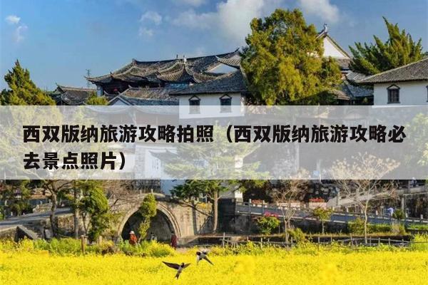 西双版纳旅游攻略拍照（西双版纳旅游攻略必去景点照片）
